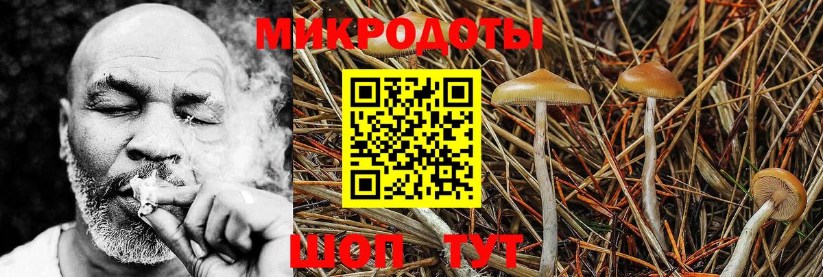 Псилоцибиновые грибы Psilocybine cubensis  Псилоцибиновые грибы MAGIC MUSHROOMS  Вход с VPN  Норильск 