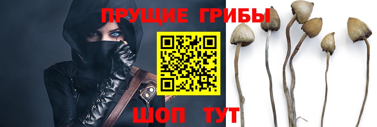 Псилоцибиновые грибы ЛСД Норильск